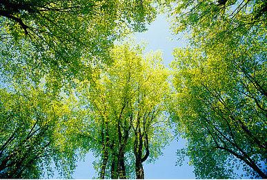 数毛社《消逝的光芒：白金版》NS和PS4运行对比